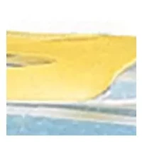 USA Foam Map Floor Puzzle: 54 Pieces