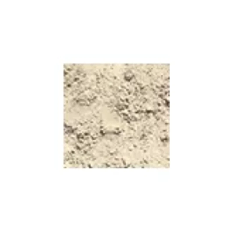 Dig It Up! - Minerals and Fossils