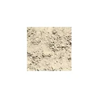 Dig It Up! - Minerals and Fossils