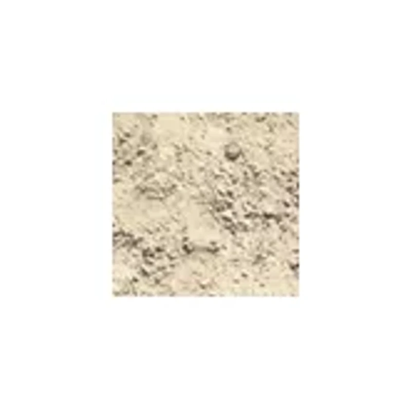 Dig It Up! - Minerals and Fossils