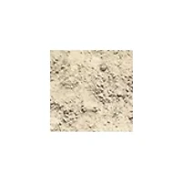 Dig It Up! - Minerals and Fossils