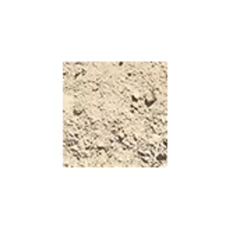 Dig It Up! - Minerals and Fossils