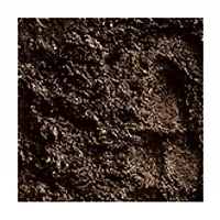 Paint Your Own Stepping Stone - Dinosaur Footprint