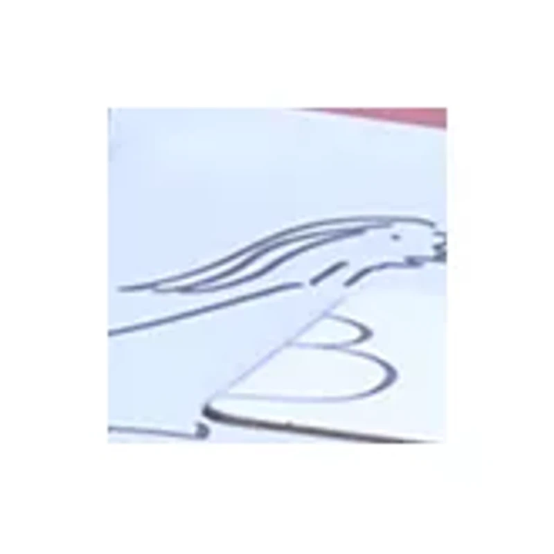 Doodle a Droodle Family Game