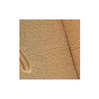 Big Styracosaurus Wooden 3D Puzzle