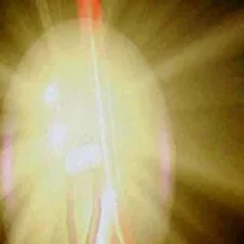 ScienceWiz Electricity Kit