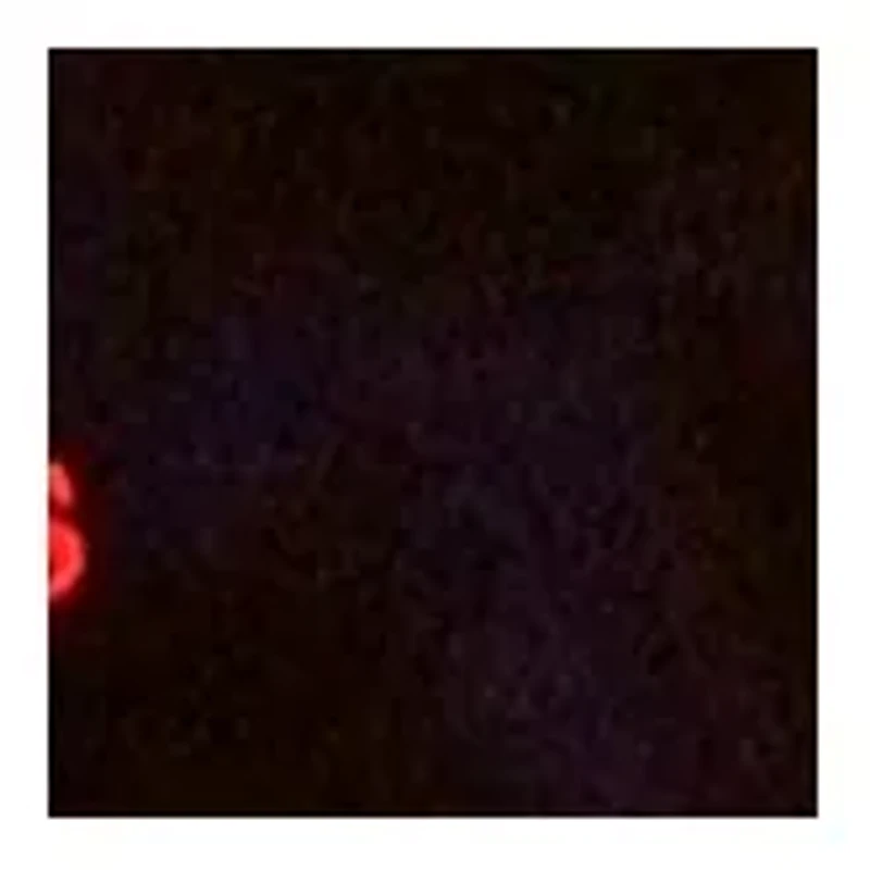 ScienceWiz Electricity Kit