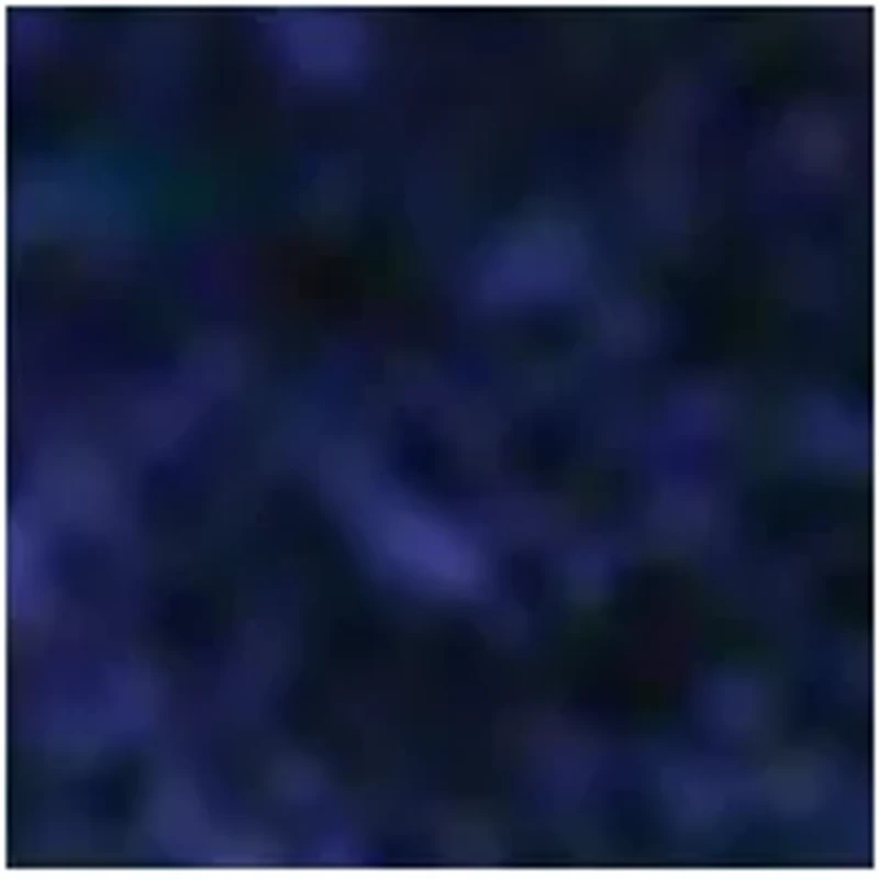 NightZone Light Up Capture the Flag