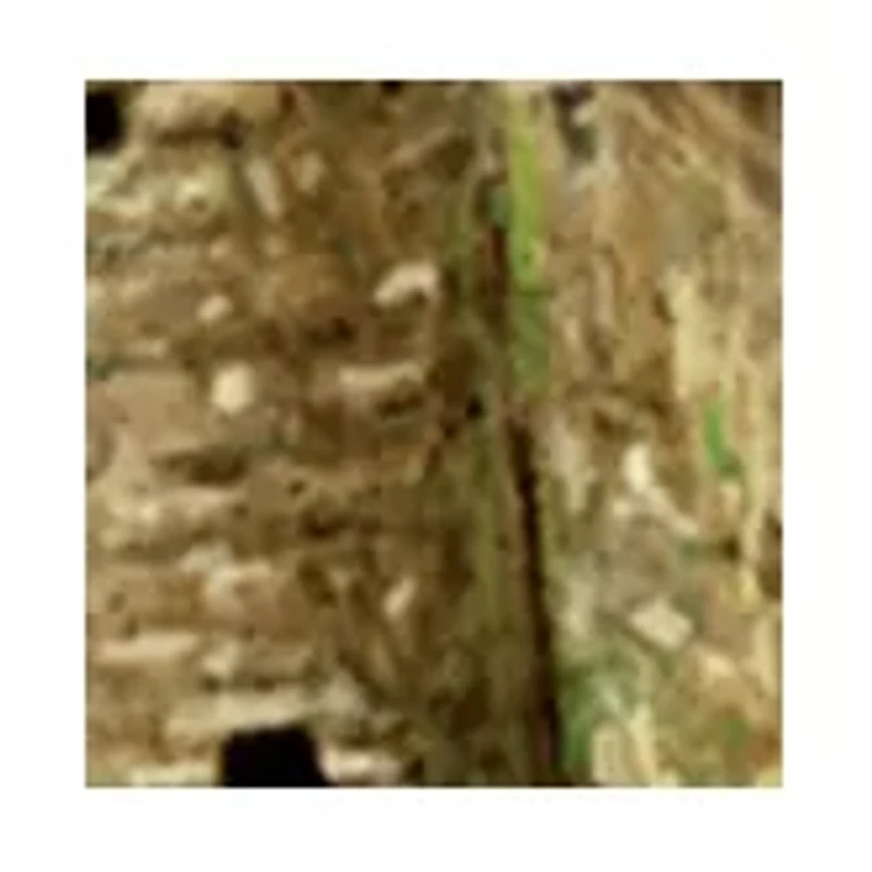 Carcassonne Strategy Game
