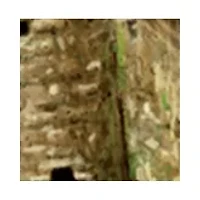 Carcassonne Strategy Game