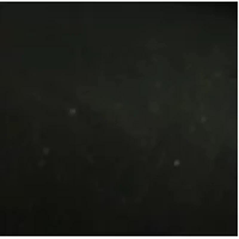 Smithsonian 30X Telescope/Monocular