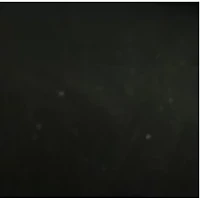 Smithsonian 30X Telescope/Monocular