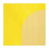 Crayola Quick Flip Two Sided Art Easel