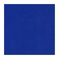 5 Piece Junior Children's Professional Drum Set