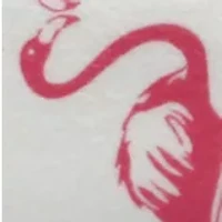 Velvet Feel Flannel Sheet Set