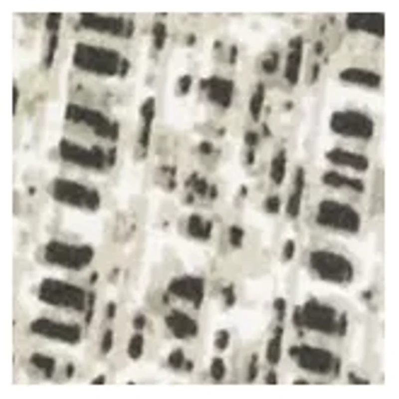 Monaco Geometric Pattern Sheet Set