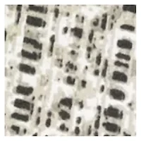 Monaco Geometric Pattern Sheet Set