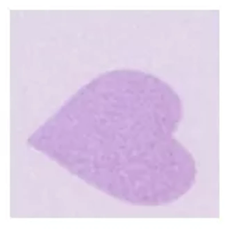 Hearts Kids Sheet Set Purple Multi Color