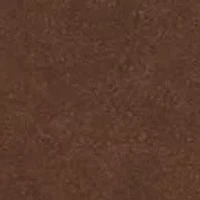 4-Pocket Faux Suede Chore Coat With Fringe Trims