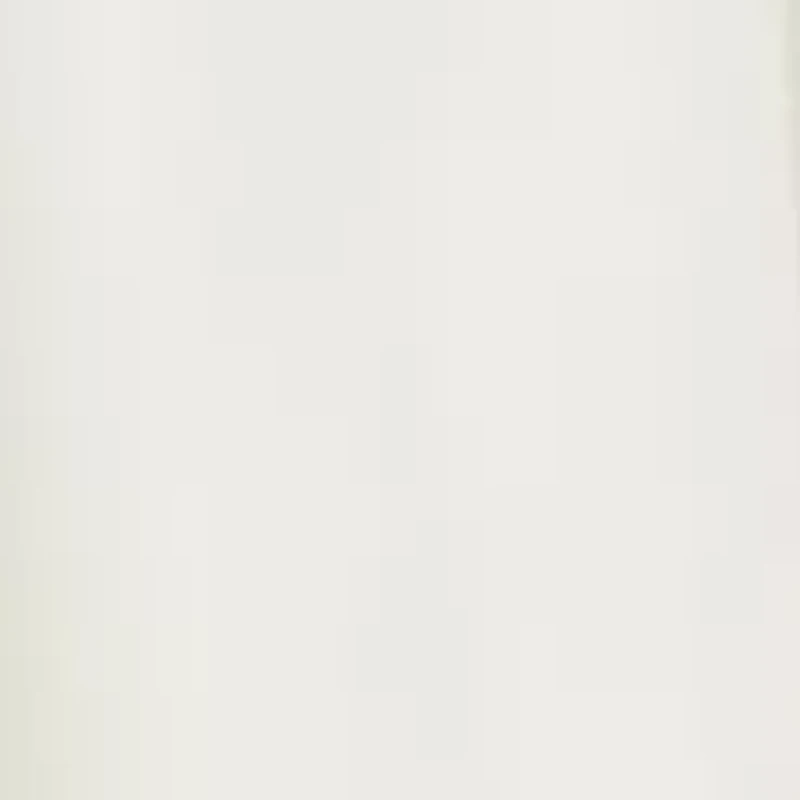 Women's Wide Leg Suit Separate Pants