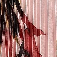 Women's Pleated Printed Skirt