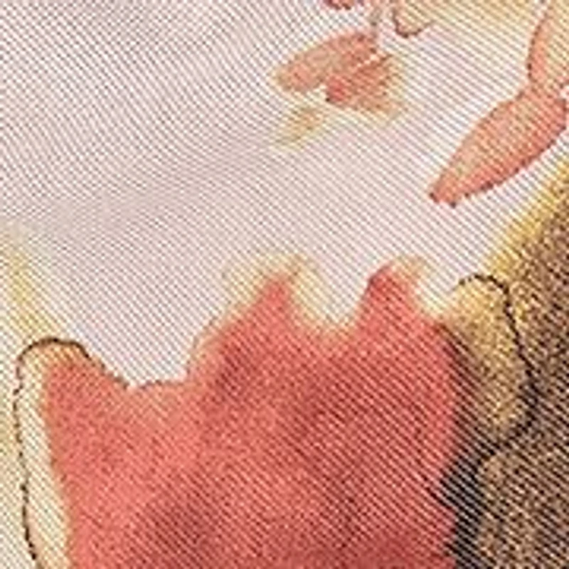 Women's Printed Mesh Mock Neck Top