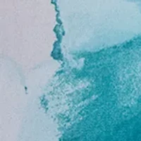 Women's Flutter Sleeve Ruffle Blouse