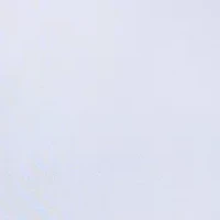 Women's Short Sleeve Blouse