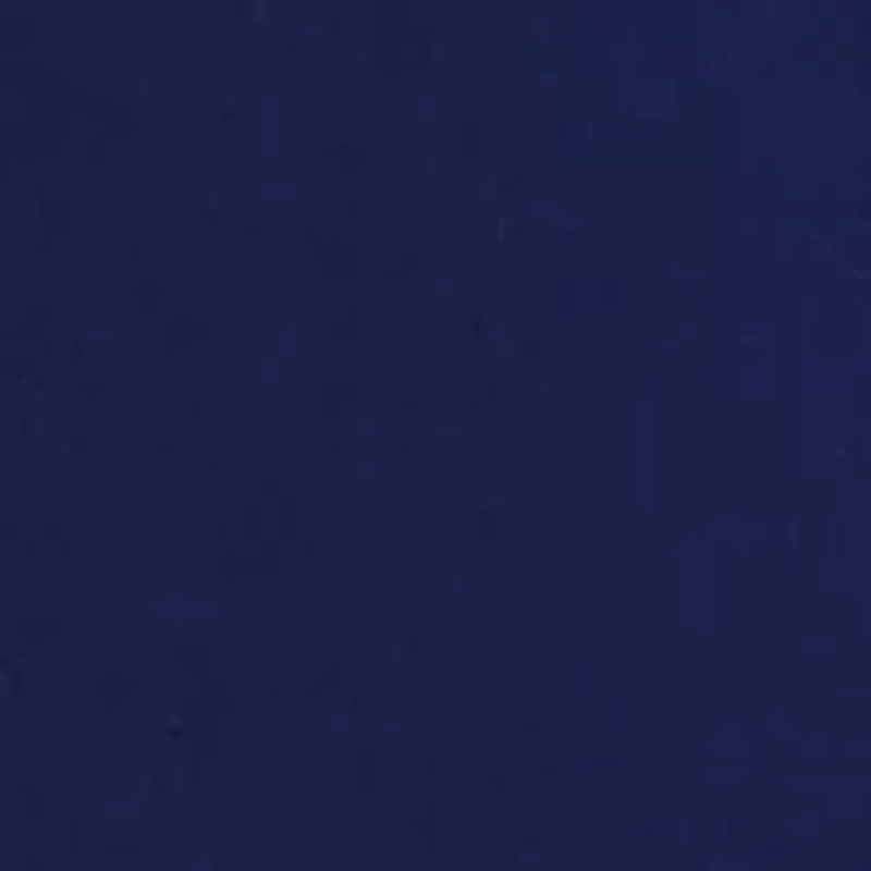 Petite Two Button Flap Pocket Blazer