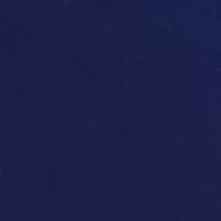 Petite Two Button Flap Pocket Blazer