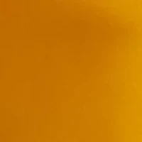 Petite Sleeveless Tie Front Blouse