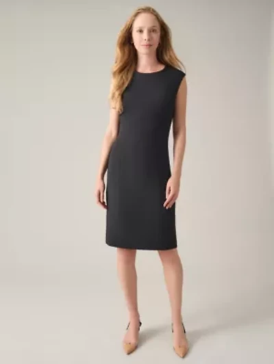 Petite Sleeveless Sheath Dress