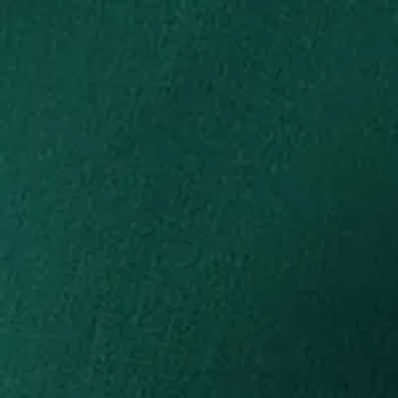 Petite Fly Front Slim Pants