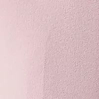 Petite Slim Lined Pants