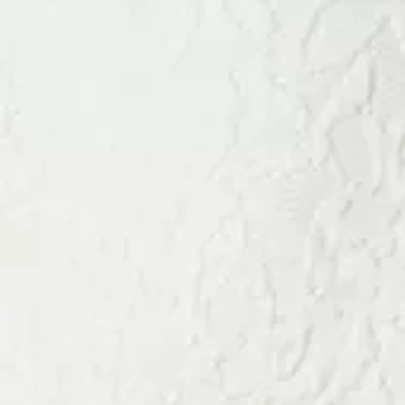 Women's Bonded Lace One Button Shawl Collar Suit Separate Jacket