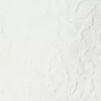 Women's Bonded Lace One Button Shawl Collar Suit Separate Jacket