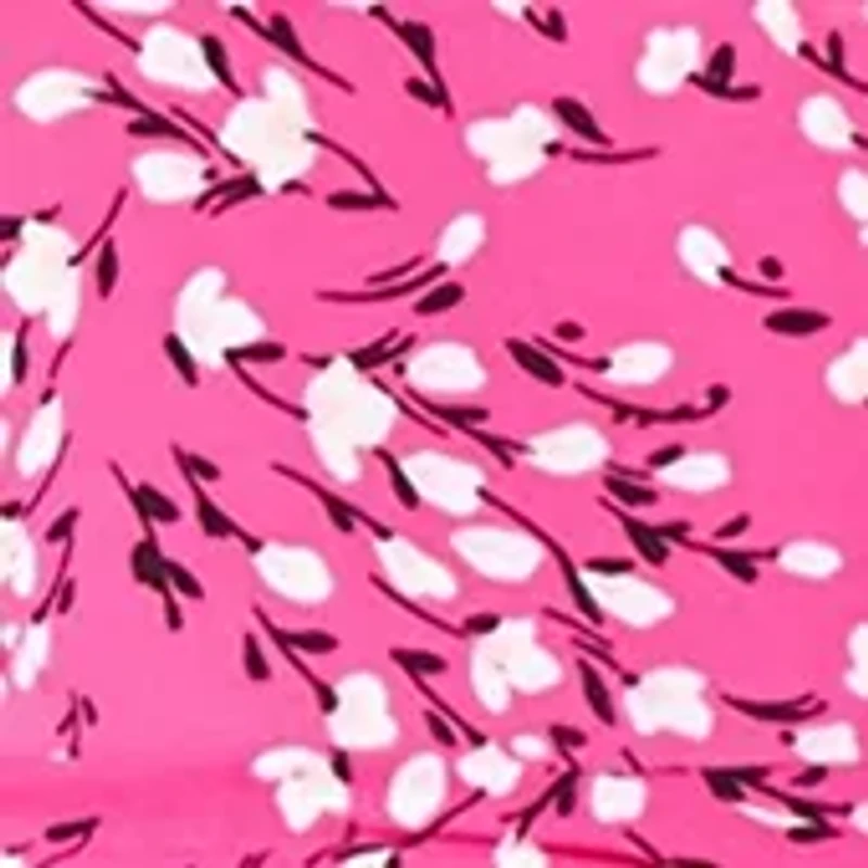 Women's Floral Printed Fit and Flare Dress