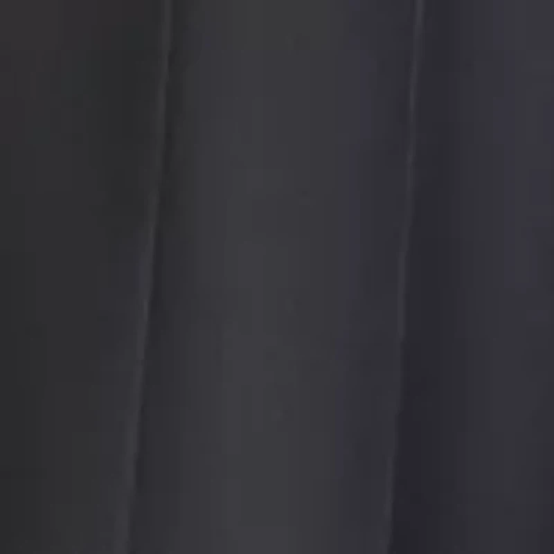 Women's Chiffon Pull On Pleated Skirt