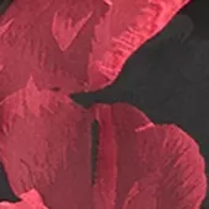 Plus Jacquard Collarless Jacket