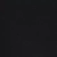 Petite Velvet Pull On Pants