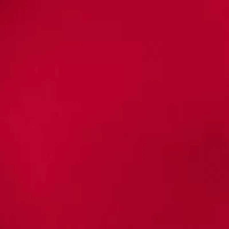 Women's Pleated Hem Sheath Dress