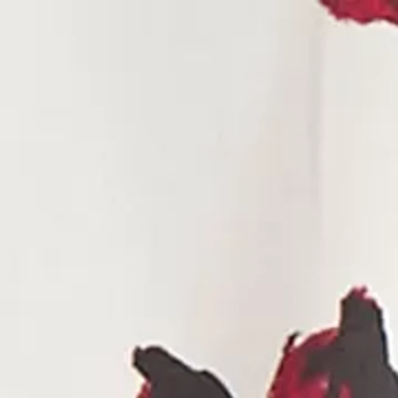 Petite Long Sleeve V-Neck Pleated Shoulder Blouse