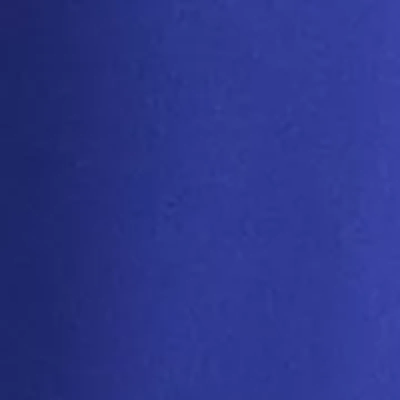 Women's Sleeveless Pleated Neck Blouse