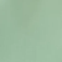 Plus Cap Sleeve Sheath Dress