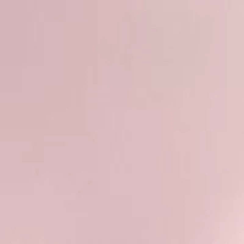 Women's Split Neck Lace Sleeve Knit Top