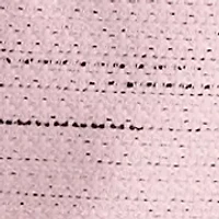 Petite Tweed Slim Skirt