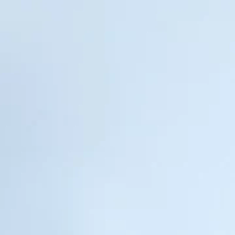 Women's Button Down Blouse