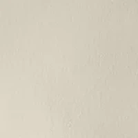 Plus Fly Front Trousers