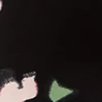 Plus Shirred Neck Floral Print Top