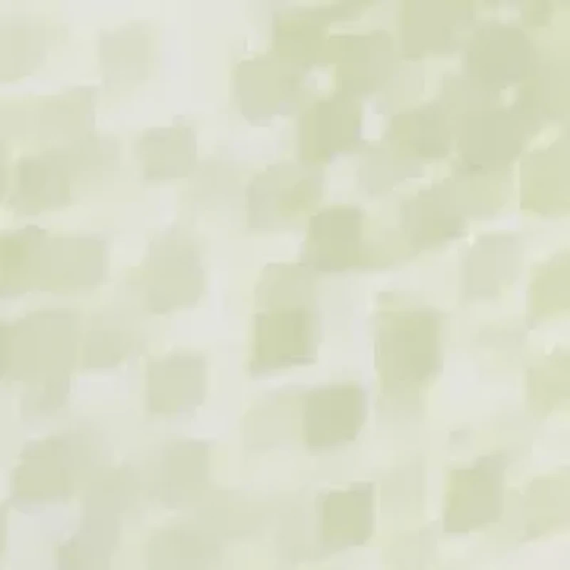 Women's Ruffle Sleeve Blouse